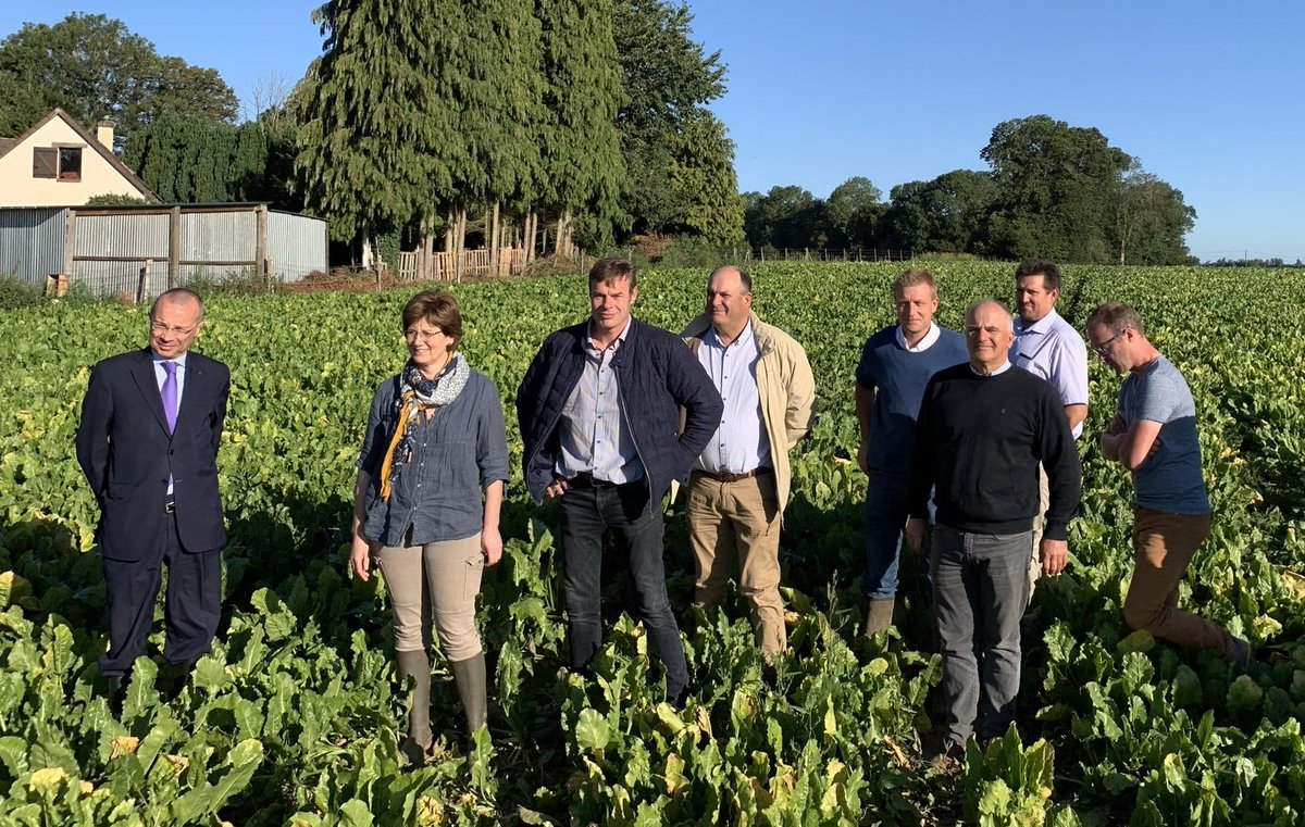 GillesLievens's tweet photo. On veut protéger notre sucre... la solution n'est plus accessible (enrobage de semence 0,004g/m2 sans danger pour les auxiliaires car il n'y a pas de fleurs en betteraves). Cela aurait evité 3 traitements, plus massifs et moins efficaces... 
Danger pour la filière @J_Denormandie https://t.co/I9ezSF6sCF