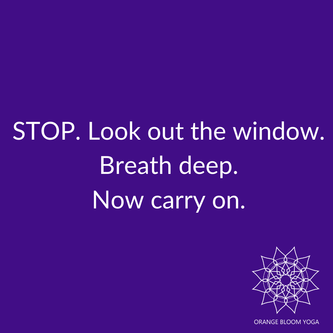 OrangeBloomyoga's tweet photo. OK as you were.... ❤️ https://t.co/eb3lkqRcHZ