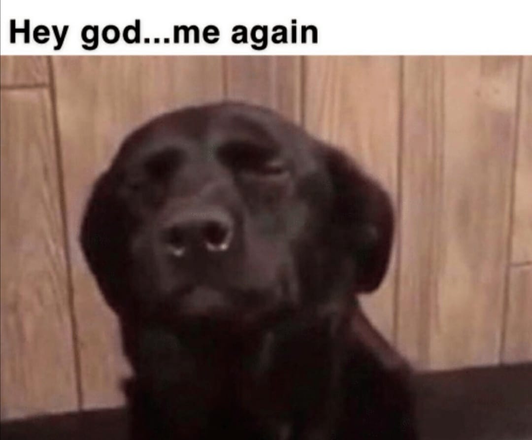 thibosytle's tweet photo. Every time they take my temperature before allowing me to enter anywhere... https://t.co/fpMTT4qzfv