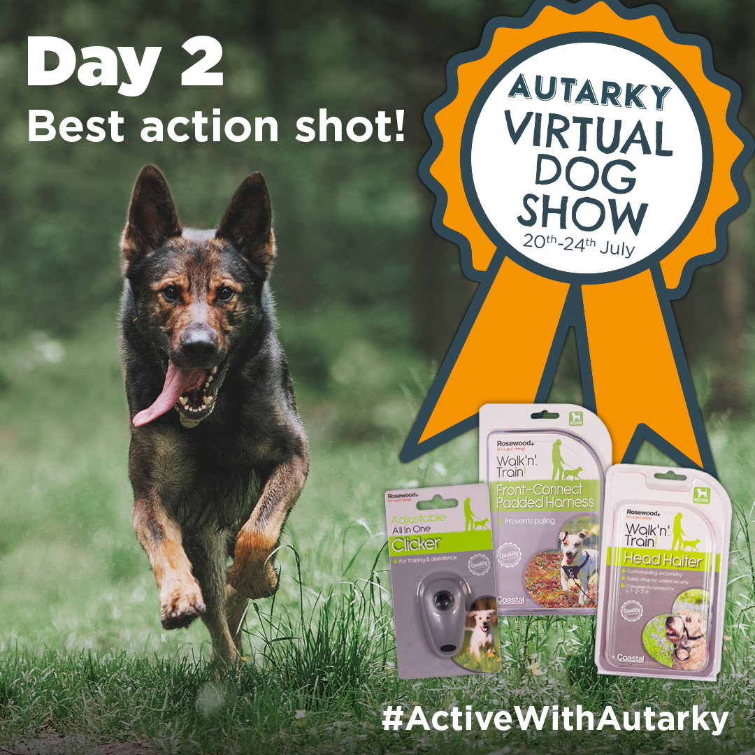 AutarkyDog's tweet photo. Calling all #ActiveWithAutarky owners! It's day TWO of the Autarky Virtual Dog Show.
Want to #win a bundle of @rosewoodpet goodies, plus a 2kg bag of Autarky? For your chance to win, head over to our Facebook page and follow the instructions ๐ https://t.co/TaZ1ohoyaC https://t.co/hVIXYv7LQh