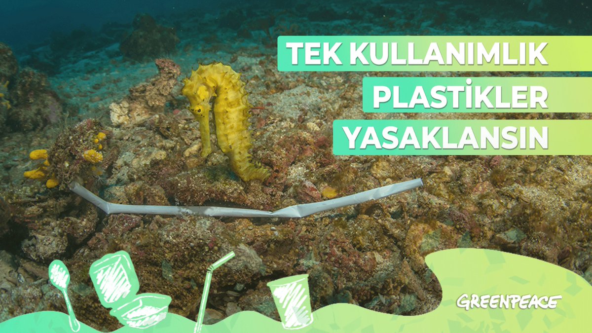HatayBSB's tweet photo. Deniz ve kıyılarımızdan 2 buçuk ay içerisinde çoğunluğu tek kullanımlık plastiklerden oluşan 284 ton atık topladık. @Greenpeace_Med 'in çağrısına biz de katılıyor ve #plastiktenkurtul diyoruz. https://t.co/ldBMErPgLd