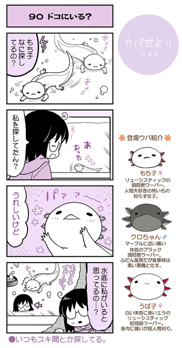 【ウパだより90】気まぐれ公開ウーパールーパー4コマ。私のことなんだと思っているのかな?(https://t.co/5eoVFWNE2C) #ウパだより #うぱ子だより #ウーパールーパー 