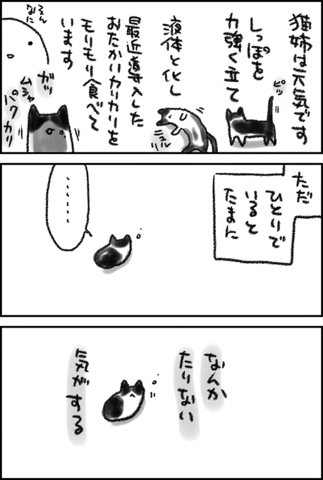 あれから2ヶ月 