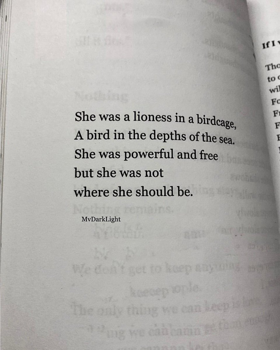 mvdarklight's tweet photo. From “The Philosopher of Fools” by @mvdarklight https://t.co/whSEelo9rD
