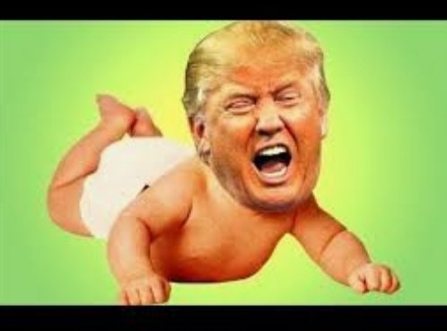 Thomas_FitzGer's tweet photo. @Cyrilorme3 @PMc276 @kingtut1138 @hazechu Live image from the oval office this morning https://t.co/M99aibolpl