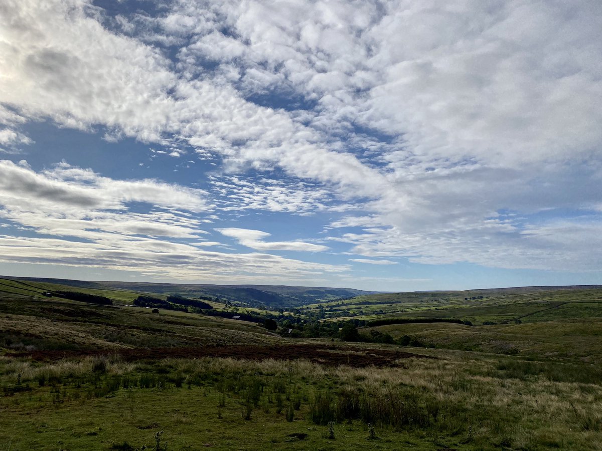 antjones91's tweet photo. Glorious start to water sampling this morning at Nidderdale https://t.co/bd6ypwazCN