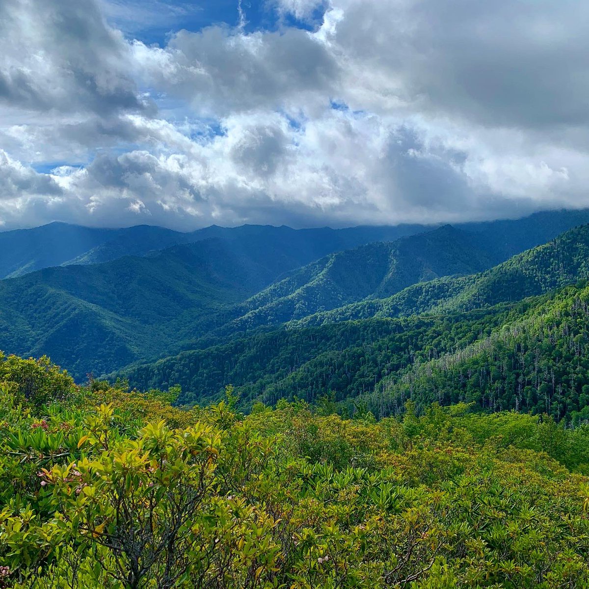 GreatSmokyNPS's tweet photo. Here are some helpful tips to beat the heat and have a safe and enjoyable hike in the Smokies: #recreateresponsibly

- Hike early in the morning
- Monitor the weather 
- Carry plenty of water and stay hydrated 
- Pack some salty snacks
- Hike trails at higher elevation https://t.co/7zinTvLroY