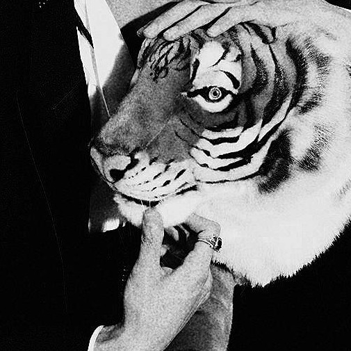 ˓ 𖠵ᱸ 𝟮𝟬𝟬𝟬𝖘  ˒

        𓎭ᱸ 𝖄𝖔 𝖉𝖗𝖊𝖆𝖒 יִ , 𝕴'𝖒 krongmueng 𝖎𝖒𝖌 jeno ╸single 🏁 

𓈒𓊪ᚐ วันนี้จะมา 𝖗𝖙 ˹ ˓ แลกฟอล : ตามทัก ˒  ˼ ᱸ

𓈒 ยพท ลฟตท יִ