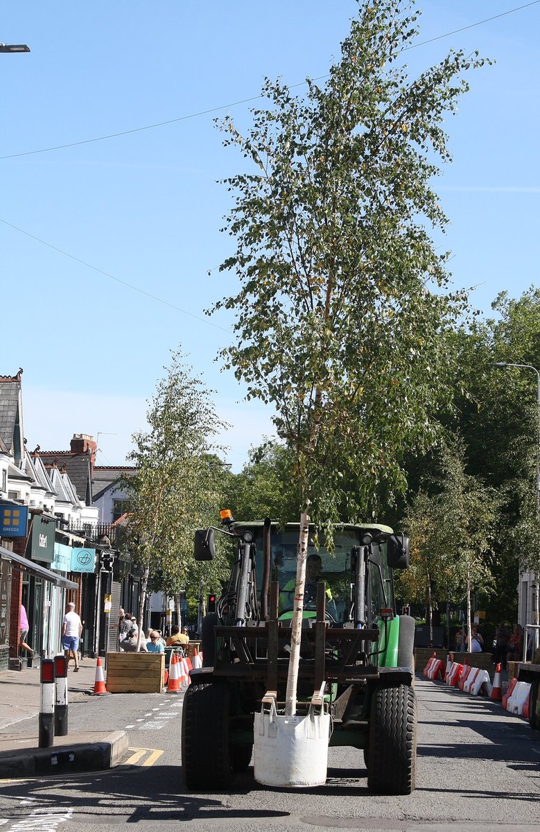 cardiffcouncil's tweet photo. There certainly is a continental feel in Wellfield Road today!  All tables and chairs have been moved into the suspended parking bays to ensure the footways are not obstructed and the last Birch Tree has just been planted. A lovely atmosphere. https://t.co/H6wpXWffII