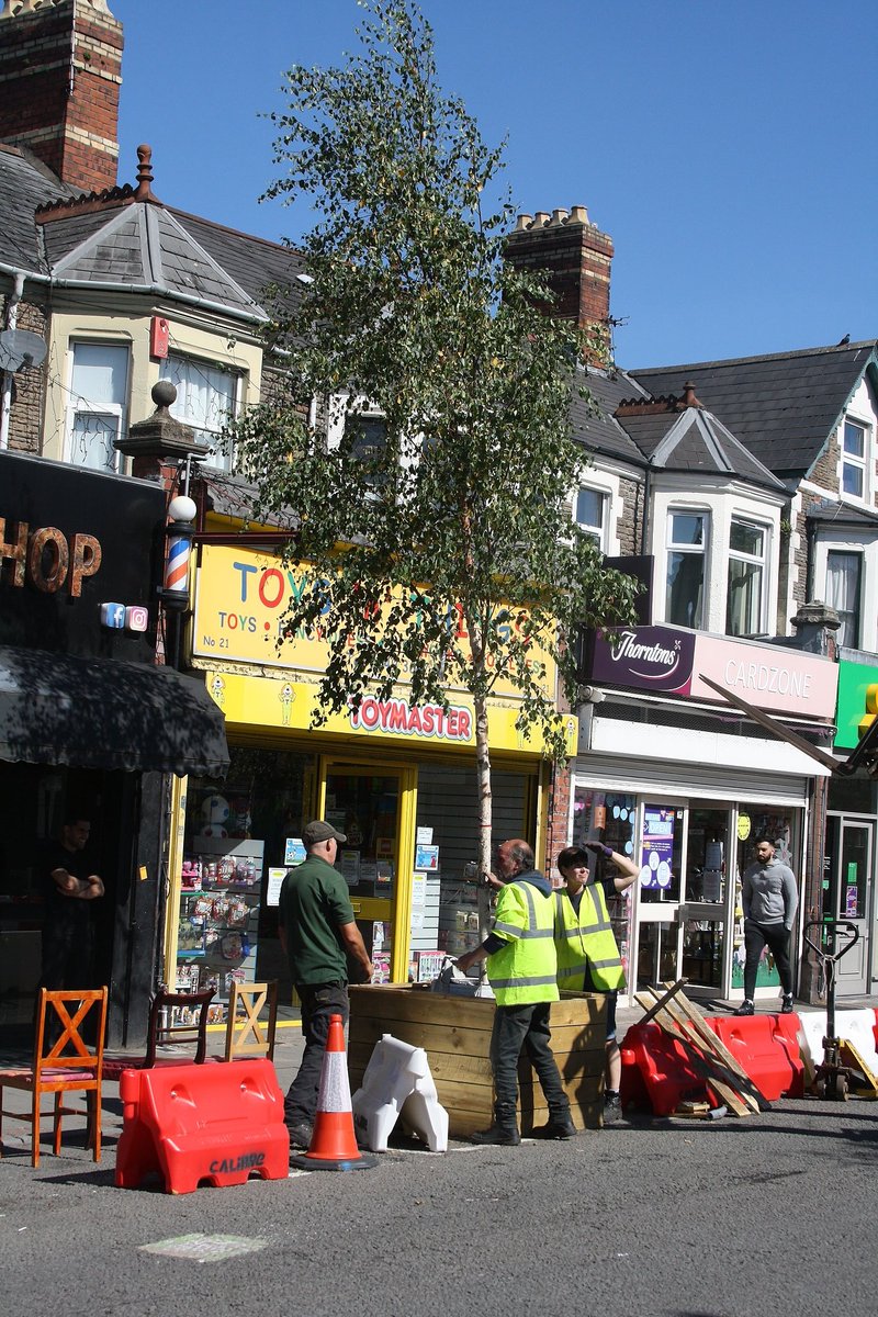 cardiffcouncil's tweet photo. There certainly is a continental feel in Wellfield Road today!  All tables and chairs have been moved into the suspended parking bays to ensure the footways are not obstructed and the last Birch Tree has just been planted. A lovely atmosphere. https://t.co/H6wpXWffII