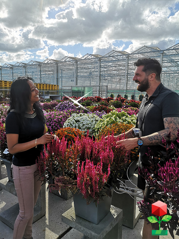 Sirekit Missysier Twitter