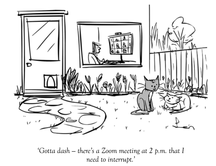 The Spectator tweet media