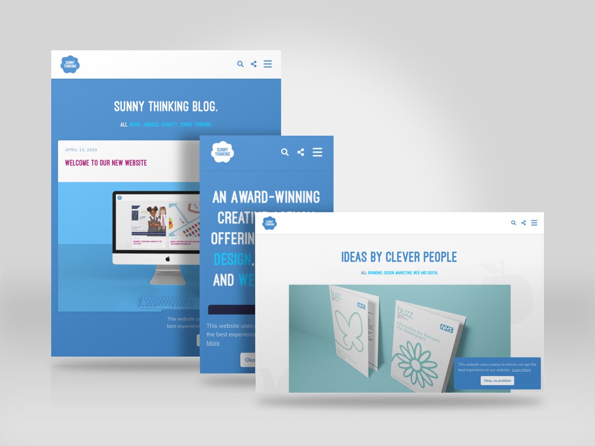 Sunny Thinking tweet media