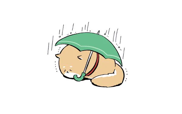 ☔️ 