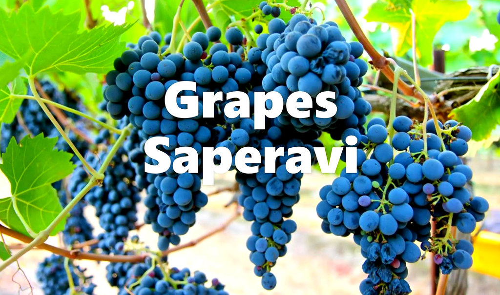 GeorgiaWineland's tweet photo. 🇬🇪☀ Artwine Saperavi-Premium from Askaneli Brothers ''Masterpiece of Georgian Winemaking''
Wine: Red-Dry
Grapes: Saperavi
Region: Kvareli-Kakheti, Georgia
Manufacturer: Brothers Askaneli
Strength: 13%
Volume: 0.75 L
Price from 2️⃣0️⃣$
#wine  #Georgia #Wineshop #Saperavi #Artwine https://t.co/FDPeQaWzb2