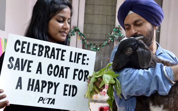 Ajay00395753's tweet photo. @PetaIndia https://t.co/3AD5mnFrbo