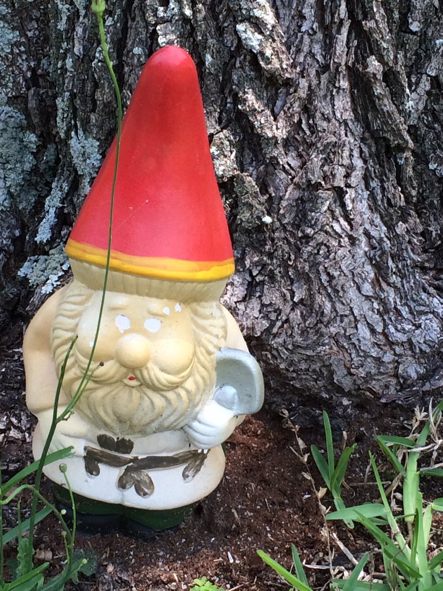 My #nomes have been sitting outside in the yard a while now and need painting. #yard #YardOrnaments #garden #GardenOrnaments