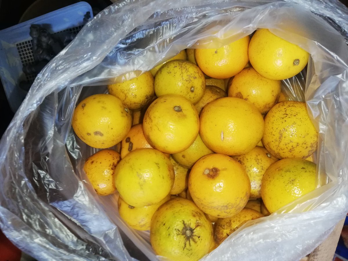 gm227792's tweet photo. Van saliendo los pedidos de #AgroBoxPy 🍊🤩😍
Agenda tus pedidos para la siguiente semana
📳 https://t.co/9r5Fcm0H06 https://t.co/Vi3ukaFqbb
