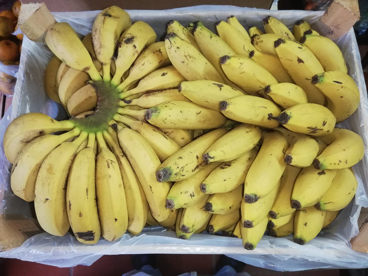 gm227792's tweet photo. Van saliendo los pedidos de #AgroBoxPy 🍊🤩😍
Agenda tus pedidos para la siguiente semana
📳 https://t.co/9r5Fcm0H06 https://t.co/Vi3ukaFqbb