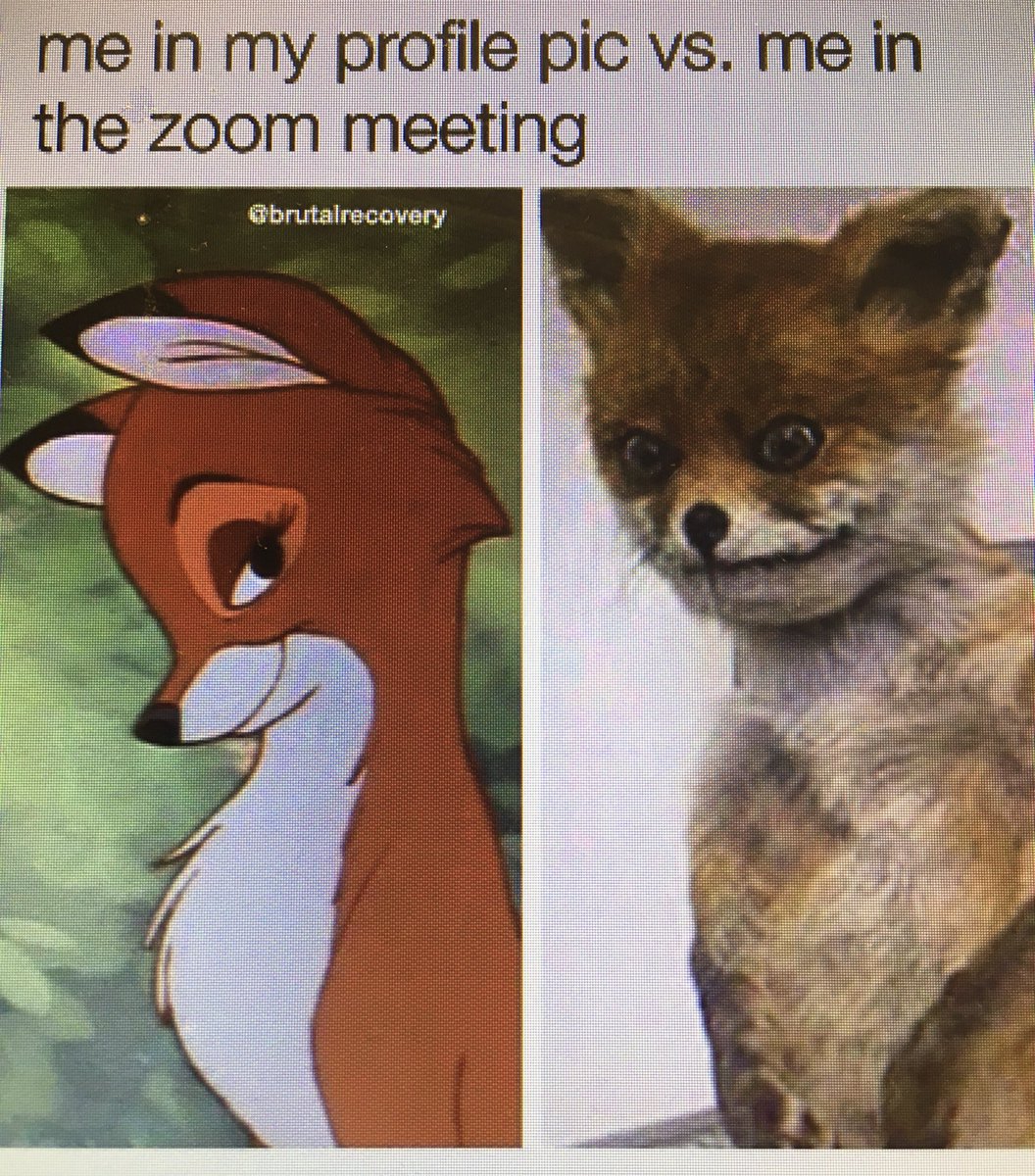 LauraClassical's tweet photo. Yeaaaah...there have been a lot of meetings like this, I must admit.😱(click on pic to enlarge) You know what never disappoints? Excellent music! Join us @995WCRB 🎶 and tell your colleagues at your next @Zoom_us session-they’ll be so grateful they won’t care what you look like! https://t.co/zjhuTMEzOv