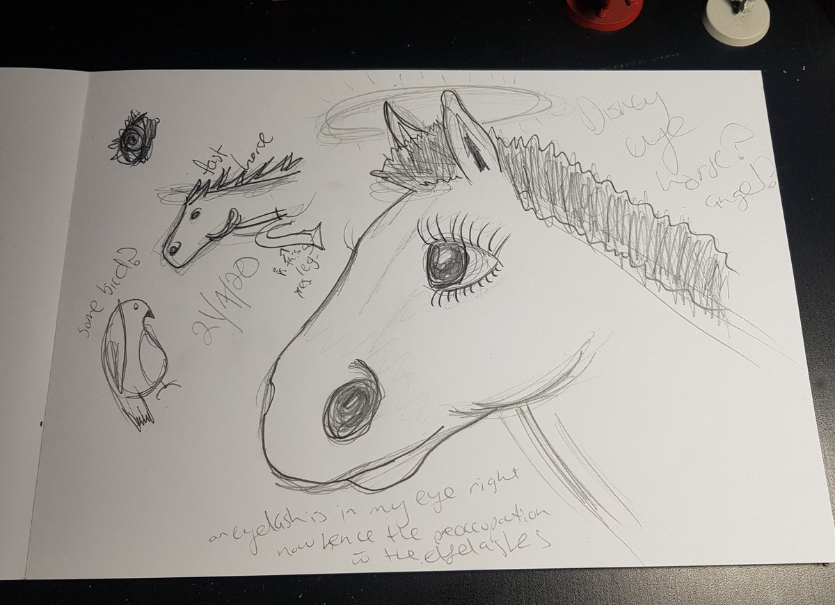 hanny 🐴🍝 tweet media