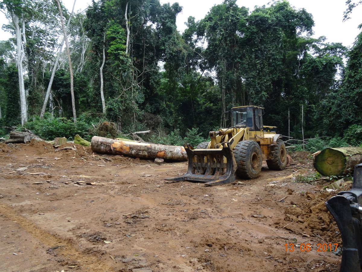 Greenpeaceafric's tweet photo. It took @DeutscheBank over TWO WEEKS to reply to our call to cancel its loan to @HalcyonAgri, a forest trashing company in #Cameroon. In its short response, Deutsche Bank uses the word "sustainability" 24 TIMES. Does this look "sustainable" to you?
#SaveCongoRainforest https://t.co/LIBTs3tBuD