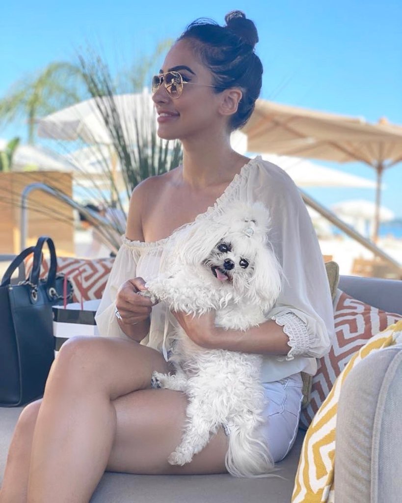 cryptoplux tweet media