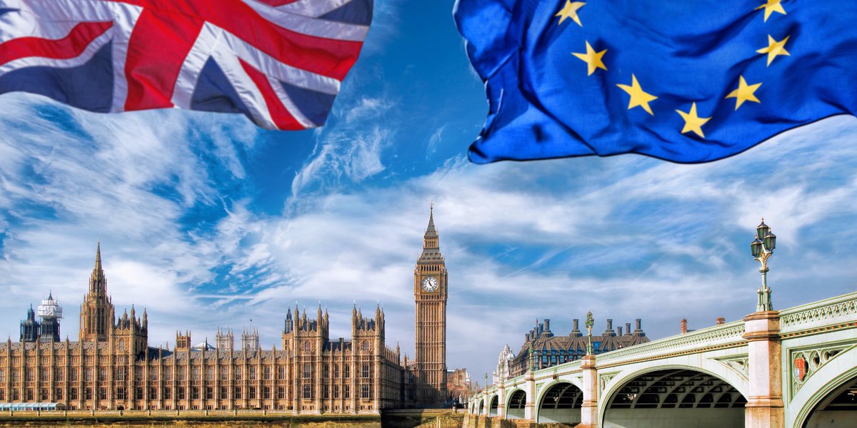 Brexit Training tweet media