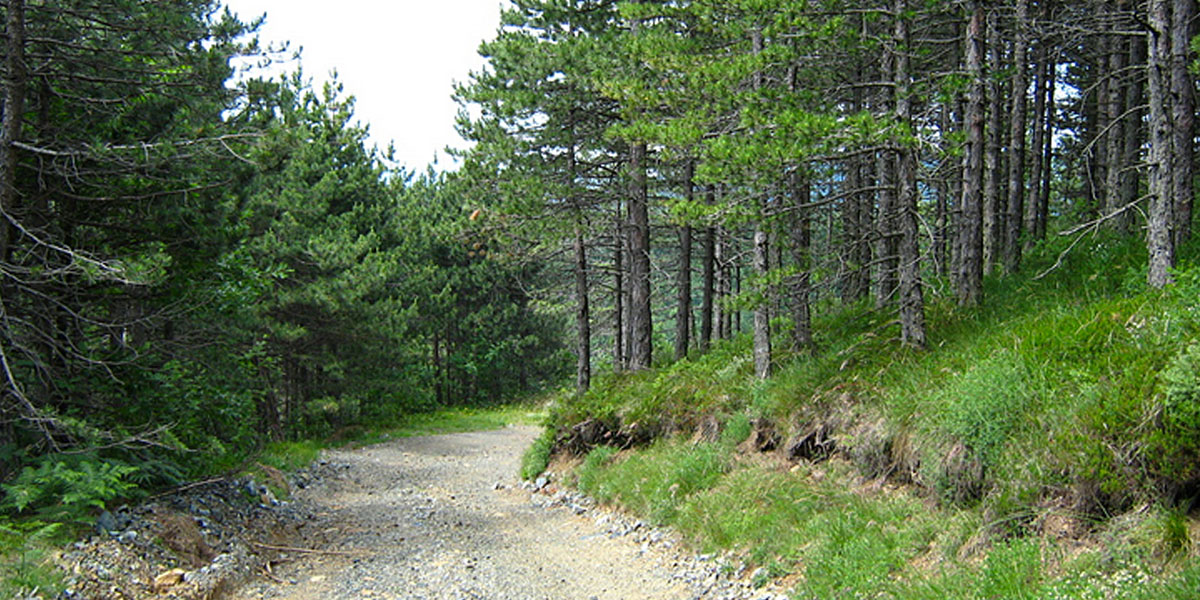 rastusa01's tweet photo. Program infrastrukturnih projekata za 2020. godinu na sjednici SO Teslić #projekti #infrastruktura #sela #cecava https://t.co/X5fDGxQ0Te https://t.co/PwXViuwzls