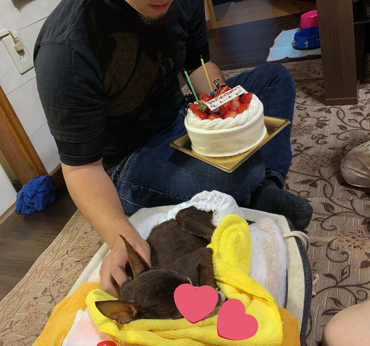 05mion10's tweet photo. 雷哉の20歳の誕生日の日に
見守り終えたかのように旅立ちました。
小2からずっと一緒でガンになっても
ご飯たくさん食べて偉かったね！！
沢山の思い出をありがとう(  ˊ꒳ˋ ) ᐝ
ゆっくり休んで天国では沢山走ってね✨ https://t.co/07IZQLlRP4