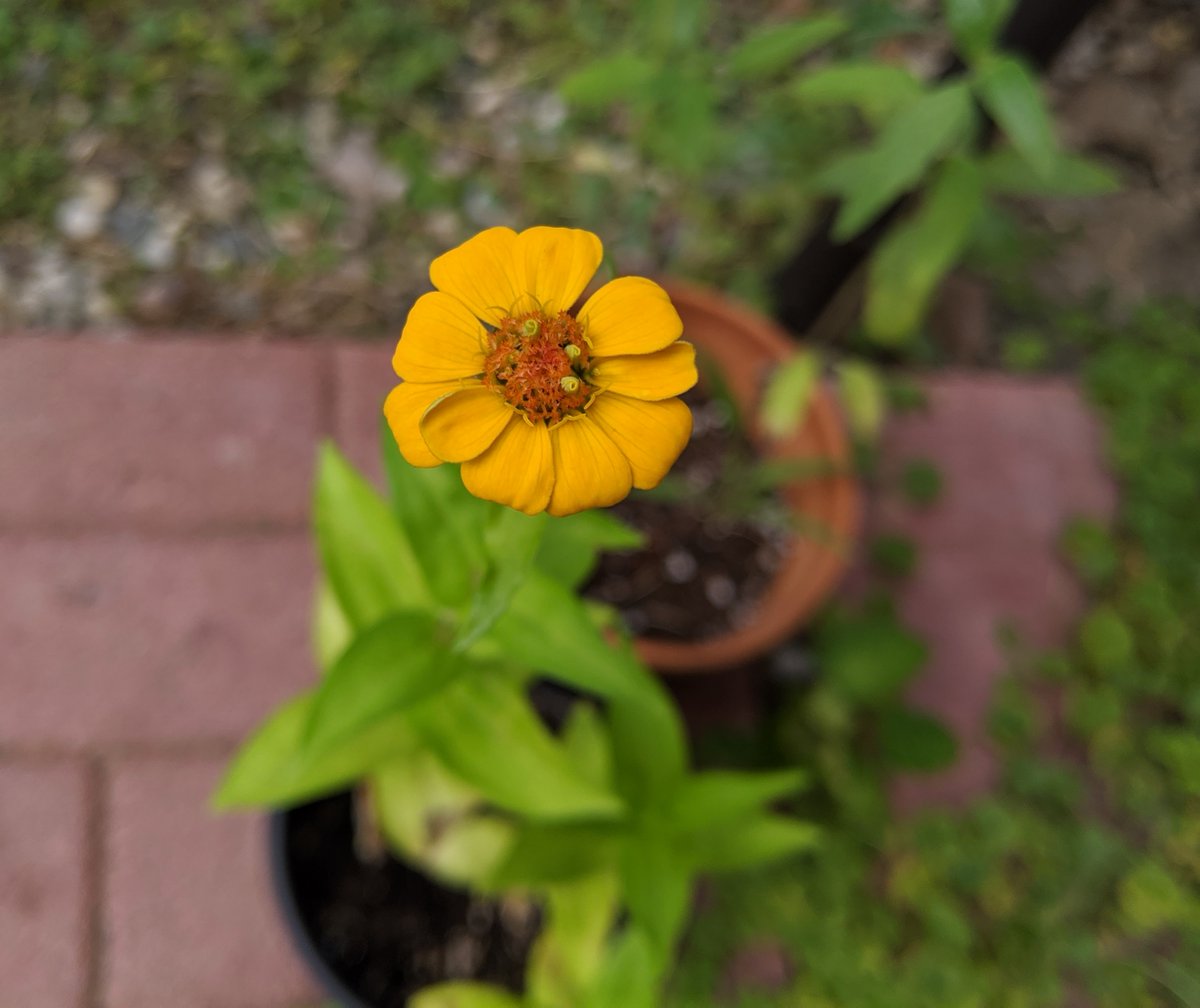 RobinCulp's tweet photo. Good morning! What ever you do within your day today, if you interact with others, remember to be kind. We all need it just a little bit, and we need to remember to share it just a little bit more. ☕️💛 https://t.co/IHP4VuAQK6