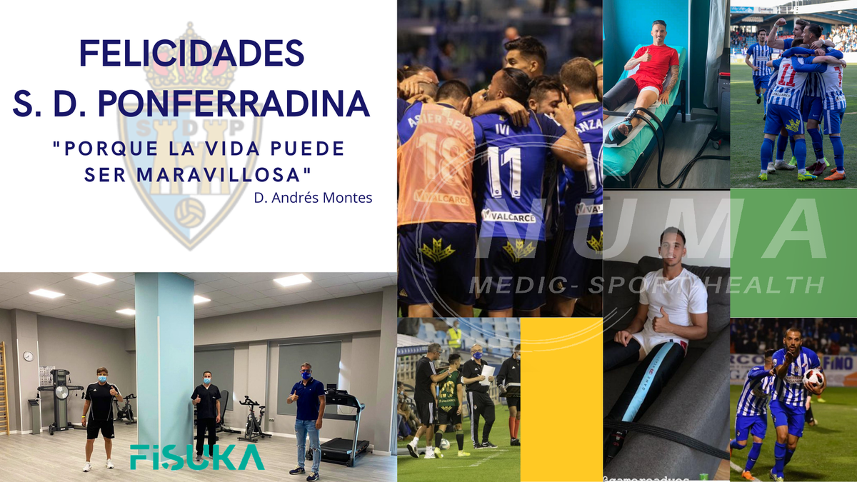 NumaBlue1's tweet photo. Enhorabuena a la @SDP_1922. . Nuestra más sincera enhorabuena a @jonbolo21 @yuridesouza_10, @Manugarcia @Russo @Kaxe_9 @ivilopez14 @Javi97Navarro @JARiosReina @JonGar91, en especial a 
@fisukaponferrada que los ha cuidado durante todo el año @gameready_es @recovery_pump. https://t.co/zdqvXn0lNm