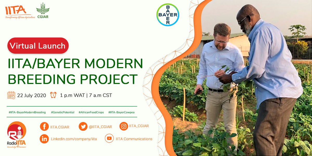 IITA_CGIAR's tweet photo. Mark your agenda๐๏ธ
Join world-class crop breeders discussing yield improvement of important #AfricanFoodCropsโ cassava, maize, cowpea, banana, yam, soybean at the launch of the #ModernBreeding Project funded by @gatesfoundation. https://t.co/j4eFfpJqQI #IITABayerModernBreeding https://t.co/EZWCFL9Tl5