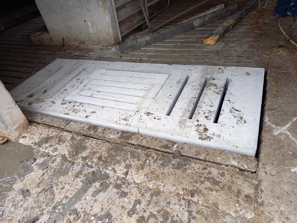 STAFLTD15's tweet photo. Installing manhole slats as part of our plans to improve health and safety on our farm. #FarmSafetyWeek https://t.co/Wku4L85Tg0