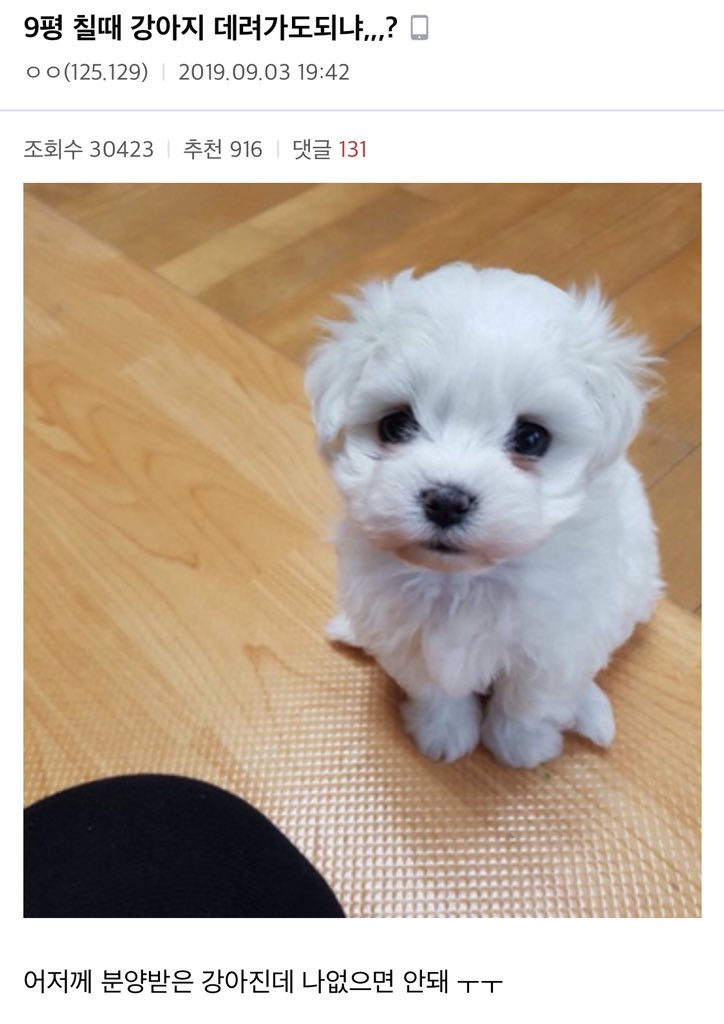 00trsjh's tweet photo. 9평칠때 박지훈 데려가도 되냐? https://t.co/WexNWP1e0z