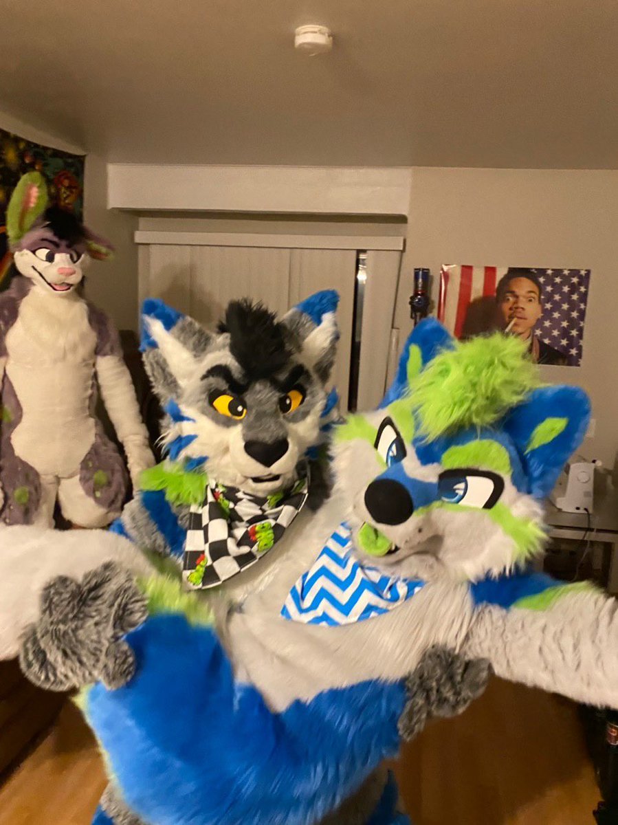 RADHuskySki's tweet photo. Kip can easily squat a husky! We had the a trusty cabbit as a spotter^^
#DailyDHC #furryworkout
👔🐾🌵@DontHugCacti x2 https://t.co/6pTd6VvNvo