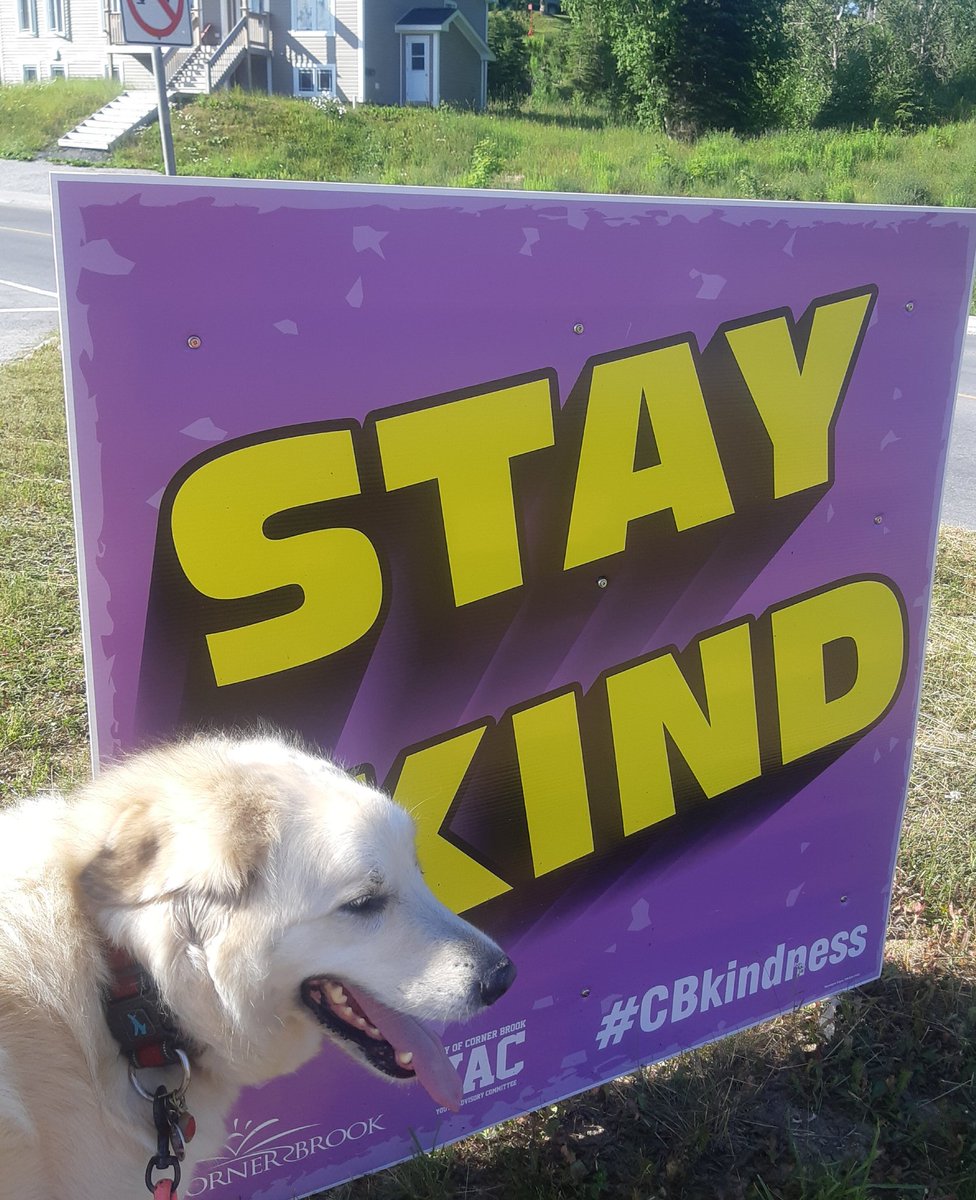 WendyWerojo's tweet photo. Be like LuLu, be kind #CBKindness https://t.co/Eht4k4DfZl