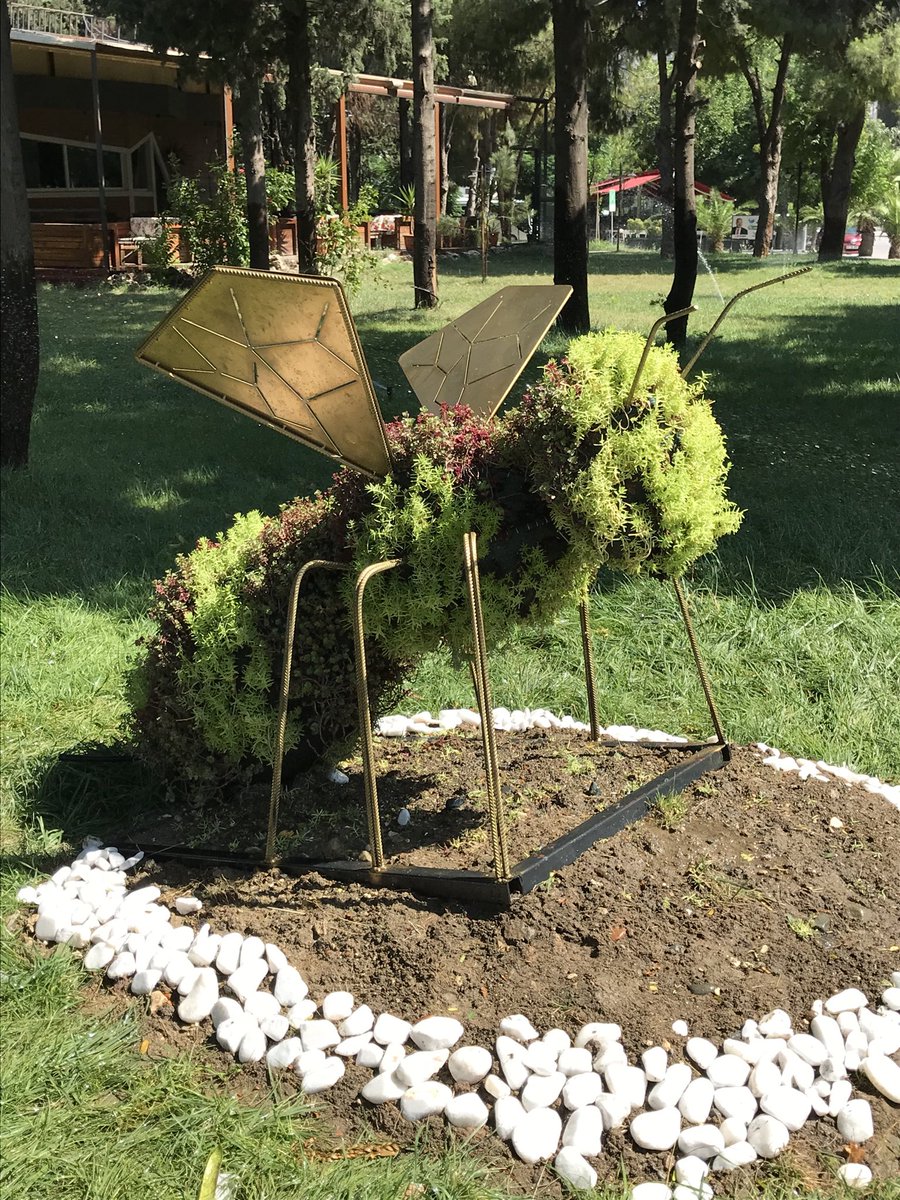 katibe56's tweet photo. Antakya/Hatay da bir belediye ye ait park canlı bitkilerle yapılmış,muhteşem.Yapanın eline sağlık,bir parkta sergileme fikrini düşünen Park bahçeler çalışanınının fikrine sağlık. https://t.co/g0Indd2wJF