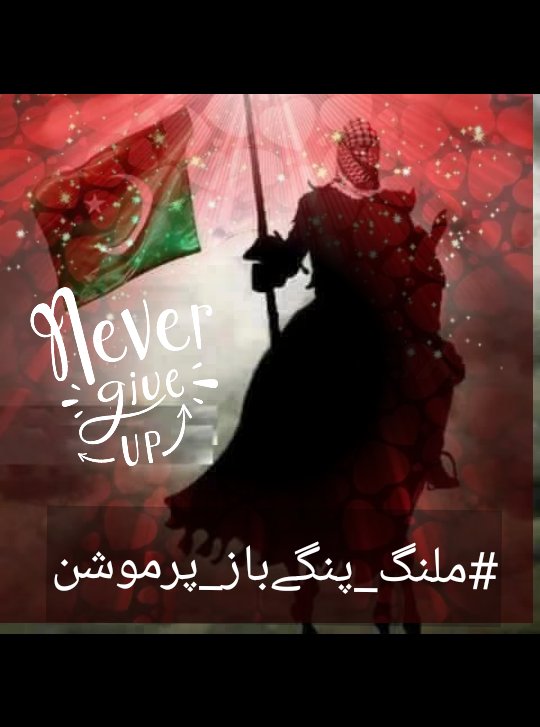 🐬#ملنگ_پنگےباز 🐬 
🌴پرموشن لسٹ نمبر246🥀🌴
<a href="/Arfaa69/">Arfaa</a>
<a href="/ShazadiZainab/">Dr Zainab Fatima Shazadi Advocate</a>
@Samrchili
<a href="/momina12a/">Momina waheed</a>
<a href="/sleepless_10/">Wohi</a>
@izZahra___313
<a href="/Sr6361/">rajpout Kashmiri</a>
@FatPml
@KalsoomNiaz
@i_attiya
@mahe879
<a href="/nasreenone1/">Nasreen</a>
<a href="/Rubia_Bashir/">Rubia_Bashir</a>
@UzKhan786
<a href="/samina_saroya/">Samina Saroya</a>
@AmraButt11
@MarjaniBebo
@noshusatti
@N0_DMs
@1Ainum