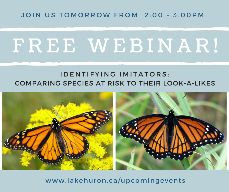 Lake Huron Coastal Centre tweet media