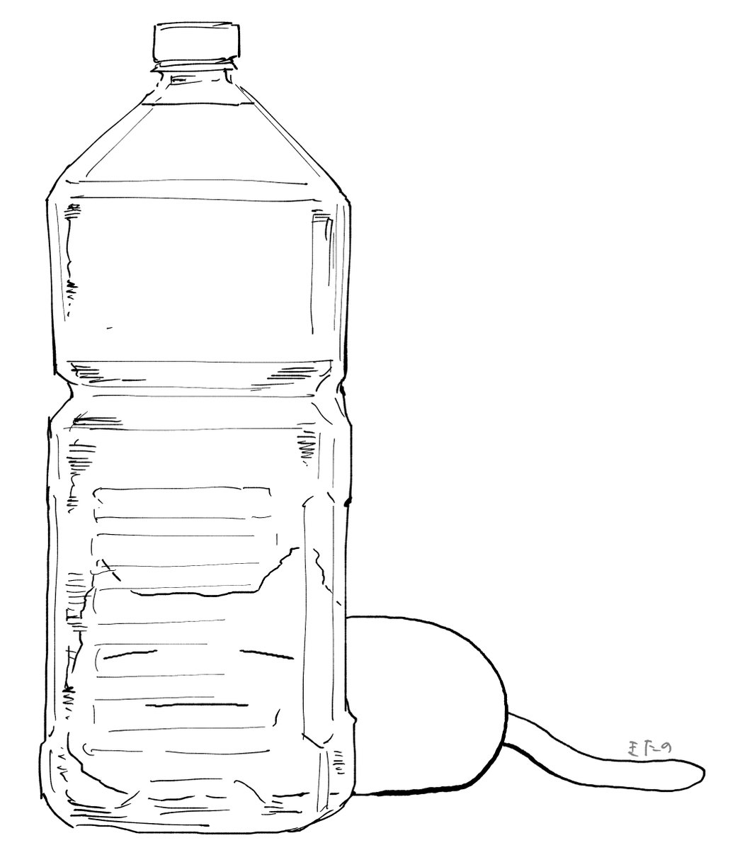 猫除け 