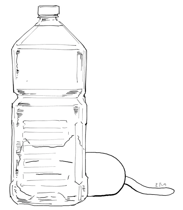 猫除け 