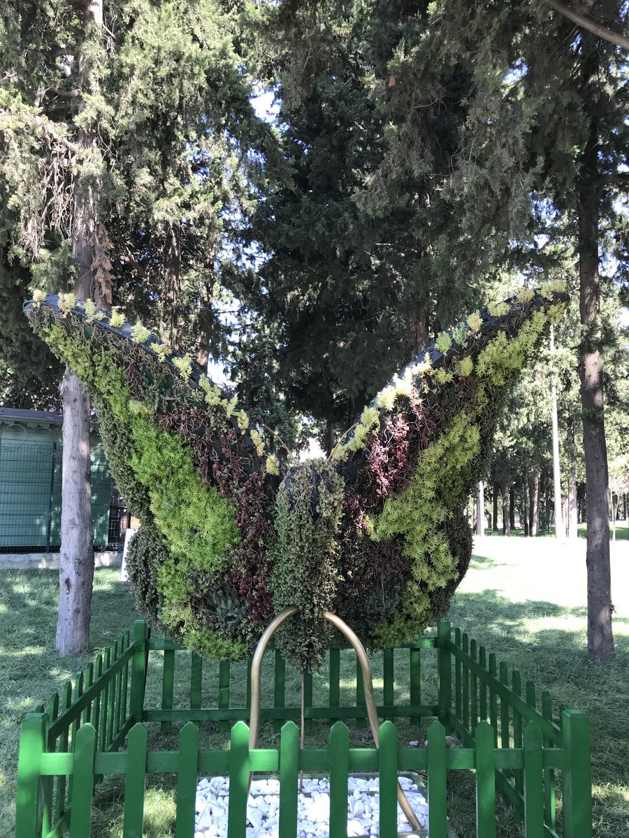 katibe56's tweet photo. Antakya/Hatay da bir belediye ye ait park canlı bitkilerle yapılmış,muhteşem.Yapanın eline sağlık,bir parkta sergileme fikrini düşünen Park bahçeler çalışanınının fikrine sağlık. https://t.co/g0Indd2wJF