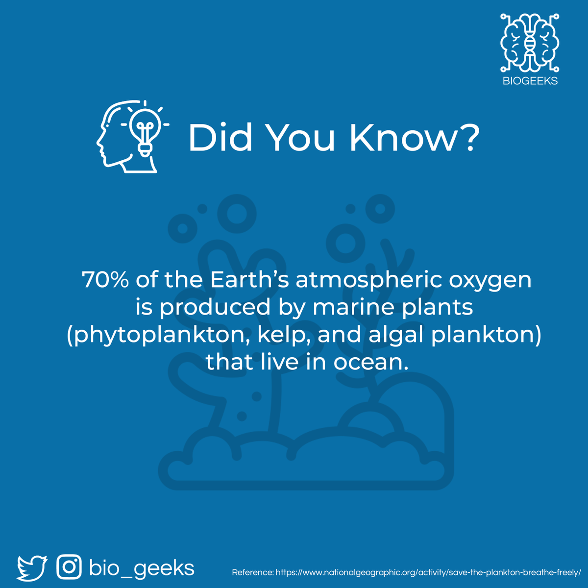 bio_geeks's tweet photo. #biogeeks #biology #biotechnology #biotech #lifesciences #microbiology #biochemistry #cellbiology #immunology #science #sciencefiction #sciencememes #biologymemes #biotechnologymemes #biochemistrymemes #research #researcher #scientist #oxygen #earth #saveearth #savemarine #plants https://t.co/YSWd0VjmK4