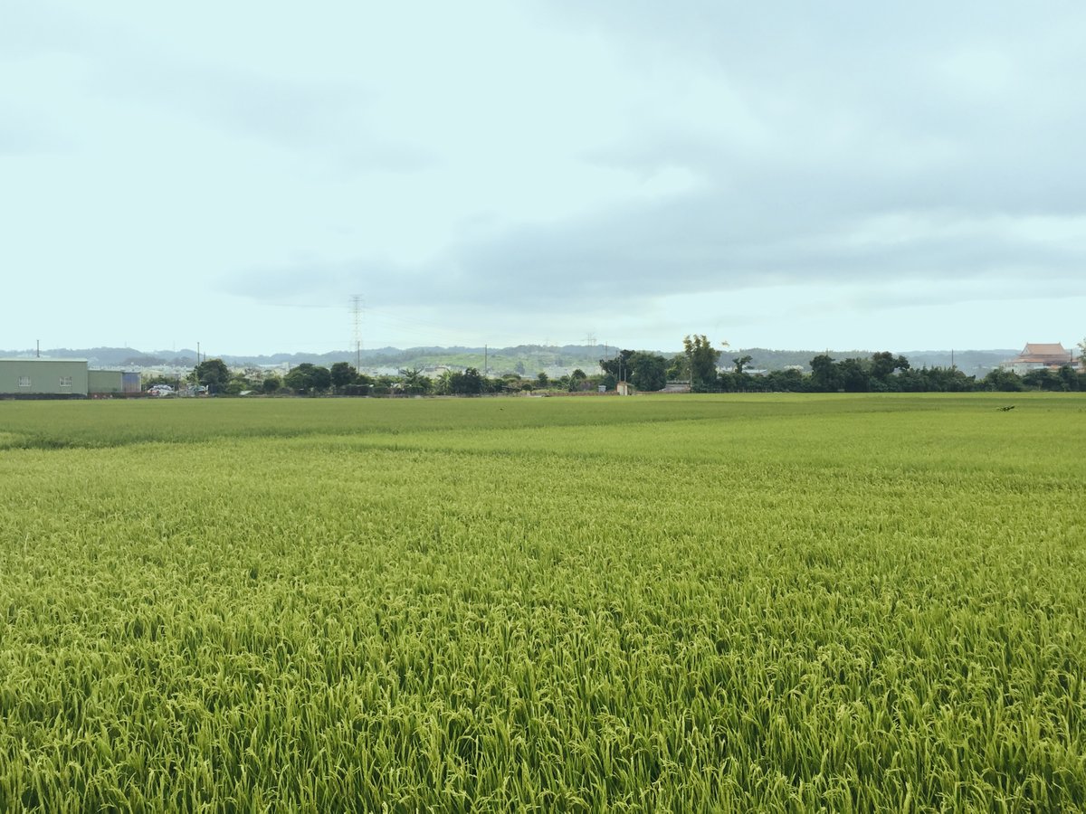 五月天 Mayday tweet media