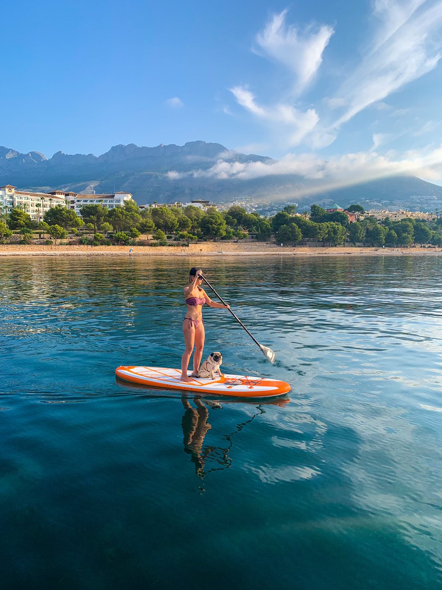 IO_SUP's tweet photo. Feliz #DiaMundialDelPerro 🤙🏼🐶💙
.
#iosupinstruction #virtualtraining #onlinecoaching #suponline #stand_up_paddle #paddlesurf #paddleboarding #standuppaddle #supinstructor #supcoaching #sup #surfing #onlinetraining #virtualsupcoaching #masterinstructor #assistantinstructor https://t.co/kgRqUmvXOU