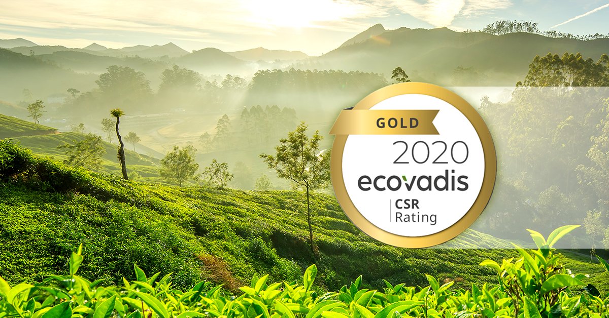DoehlerGroup's tweet photo. We are very proud for the EcoVadis Score Gold in the Sustainability Rating for our plant in Oosterhout, Netherlands! At Döhler, we are sustainable by nature and invite you to join us on our mission to care for people, performance and planet #Sustainability #Doehler #Döhler https://t.co/SFOGmc373B