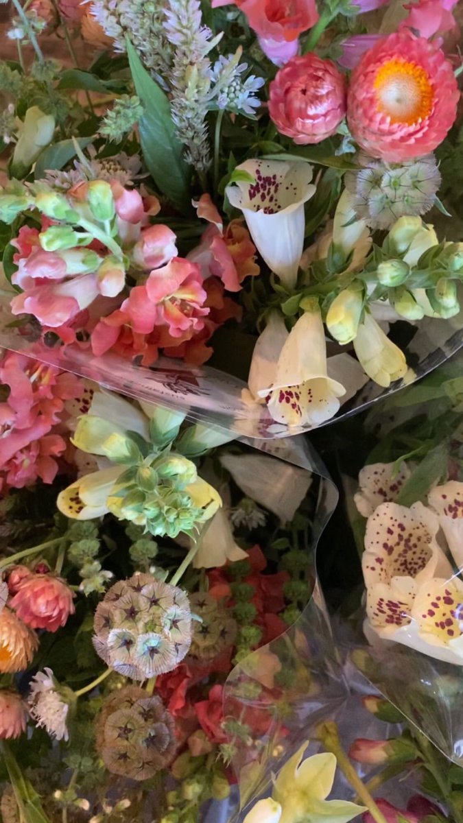 Bouquets for Newton South High School grads today! Out of-this-world flower farm, Many Graces, is at the farmers’ market today at our new NSHS location!  2-6 #newtonma <a href="/NewtonSouthPTSO/">Newton South PTSO</a> <a href="/NewtonSouthLion/">The Lion's Den</a> @NewtonOver #ALLOverNewton