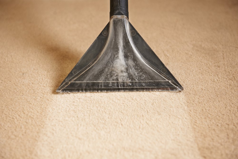 wpmcleaning's tweet photo. It may seem far-fetched, but studies show that improperly maintained office carpets could be responsible for increased workplace illnesses and reduced productivity

#CarpetCleaning #Norfolk #Suffolk https://t.co/B8EyycAZvP
