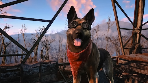 Geekno_com's tweet photo. Hoy es el #DíaMundialDelPerro, ese amigo fiel que siempre nos acompaña y hasta se convierten en piezas clave de películas y videojuegos. 
¿Sabrías decirnos el nombre de cada uno de estos peludos? 😉 https://t.co/QlXBjL2E3T
